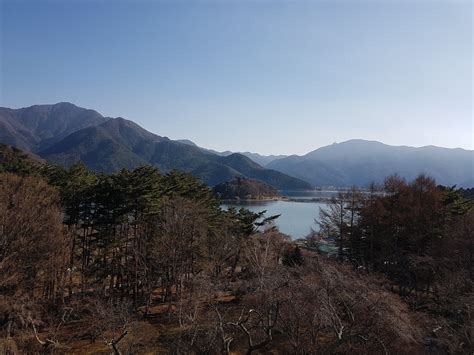 Day 3: Explore Around Fuji View Hotel in the Morning