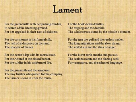 Lament Diagram | Quizlet