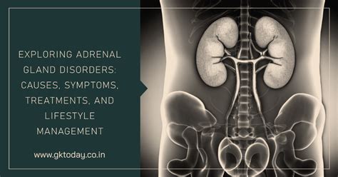 Managing Adrenal Gland Disorders: Causes, Symptoms & Lifestyle - GK Today