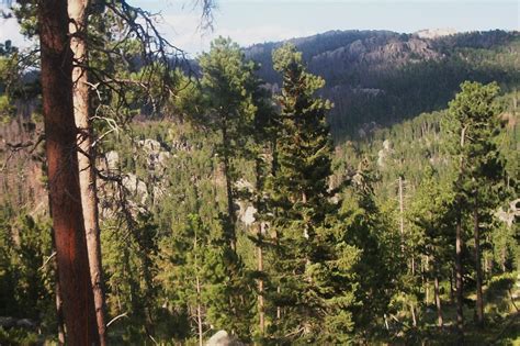 Black Hills Free Stock Photo - Public Domain Pictures