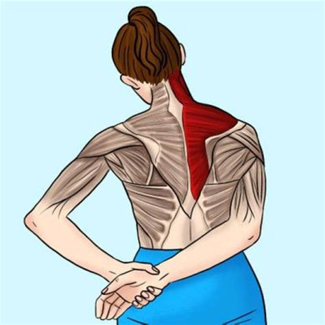 Upper trapezius stretch by Shana Martin - Exercise How-to - Skimble