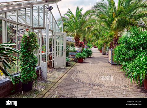 Botanical Garden in Munster, North Rhine-Westphalia, Germany Stock Photo - Alamy