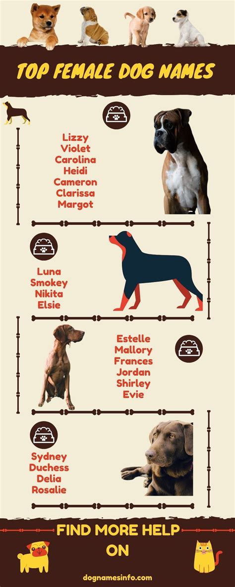 70+ Adorable Farm Dog Names for Country Dogs 2021