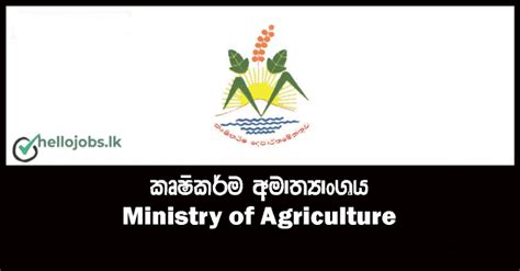 Government job vacancy Agriculture Facilitator - Ministry of ...