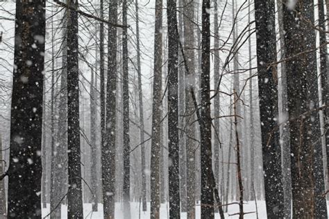 Snowshoeing At Flagg Ranch Near Yellowstone – Red Around the World