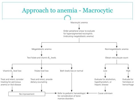 PPT - Child with anemia PowerPoint Presentation, free download - ID:2347771