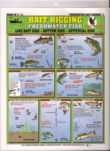 Pin on Survival | Fishing tips, Trout fishing tips, Fishing rigs