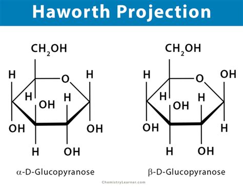 Haworth Projection: Definition, Illustration, and Examples