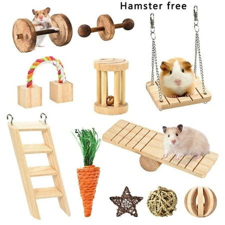 NEWLY Chew Toys Set Natural Wood Toy For Chinchilla Hamster ...