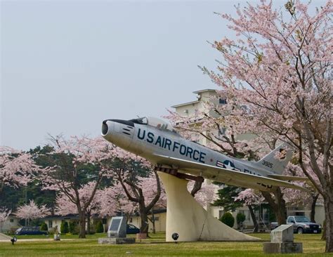 Cherry blossoms in bloom around Misawa > Misawa Air Base > Article Display