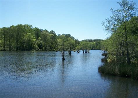 Broken Bow is Great Diving in Oklahoma - Bluewater Divers