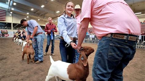 Raising Boer Goats for Show: Selection, Care and Showing