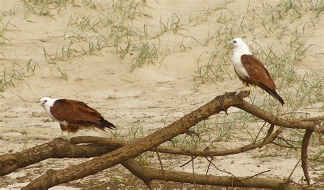 Broadwater National Park | NSW National Parks