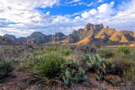 desert, Cactus, Landscape, Shrubs, Clouds, Mountain, Texas, National ...