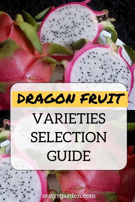 Dragon fruit varieties – Artofit