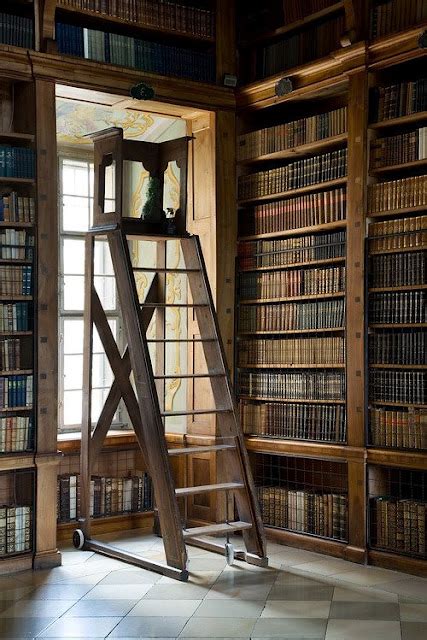 Best Library Ladder | Content in a Cottage