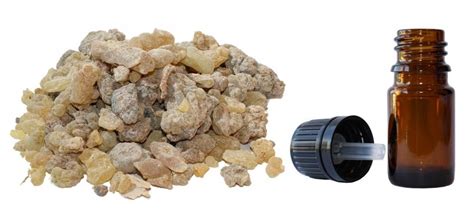 Frankincense Oil: Is The King Of Oils | Extreme Natural Health News