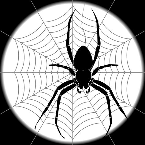 Download Spider, Web, Spider Web. Royalty-Free Vector Graphic - Pixabay