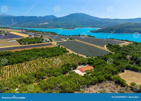 Aerial View on Plateau Valensole with Blossoming Lavender Fields Near ...