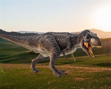 The Yutyrannus Vs. T-rex: Size Vs. Smarts | Dino Digest