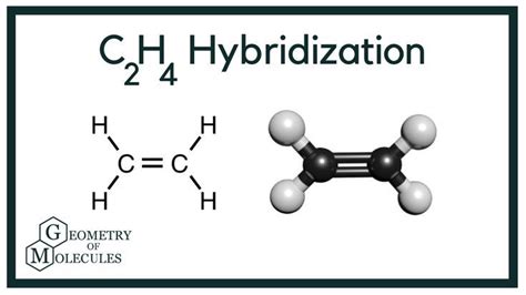 C2H4 Hybridization (Ethylene) | Chemistry education, Molecules, Chemistry 10