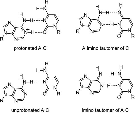 Mutagenesis and DNA repair