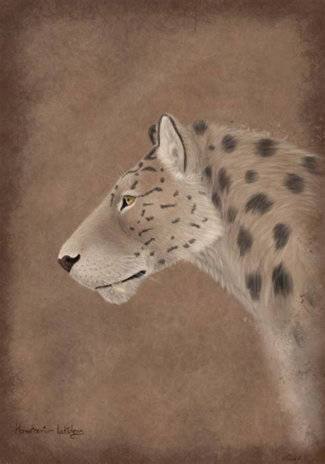 Homotherium latidens by Katarzyna Tomczak | Prehistoric animals, Prehistoric, Feline