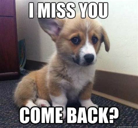 100 of the Best I Miss You Memes To Send To Your Bae | Inspirationfeed