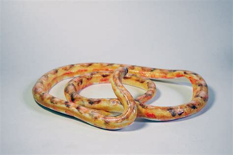 red albino corn snake (2020) - Josiane Keller