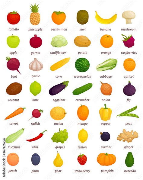 A large set of different vegetables and fruits with titles. Educational ...