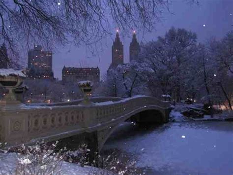 Central Park One Snowy Night | Winter scenes, Park photos, Central park ...