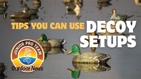 Decoy Setups and Strategies for Waterfowl Hunters - YouTube