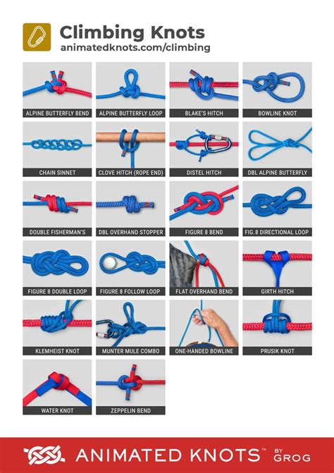 'animatedknots - Google Search | Climbing knots, Rope knots, Survival knots