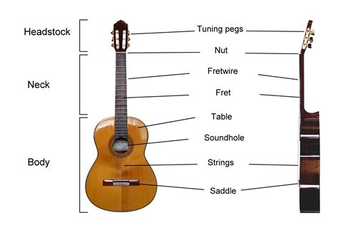 Liverpool Academy of Music – The first 5 things beginner guitar players ...