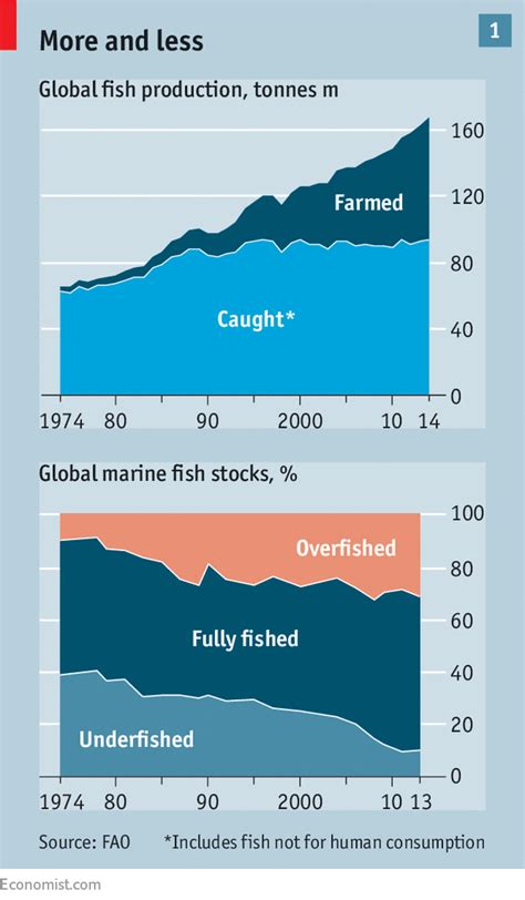 Getting serious about overfishing - Improving the ocean