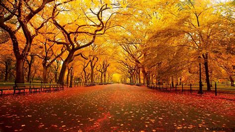 Autumn City Wallpapers - Top Free Autumn City Backgrounds - WallpaperAccess