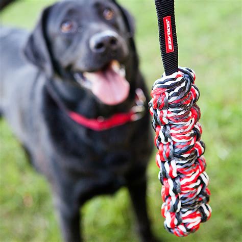 Large Dog Accessories | Large Dog Collars and Leashes | EzyDog