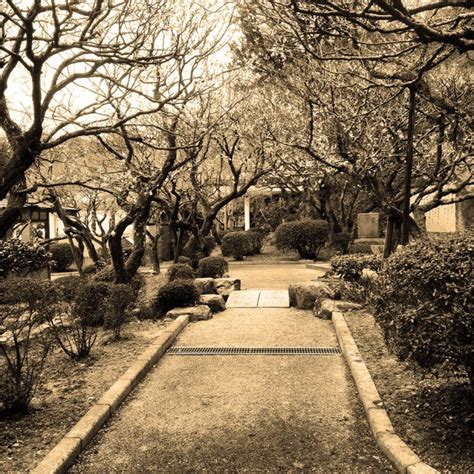 Dazaifu: Where Students Pray and Trees Can Fly