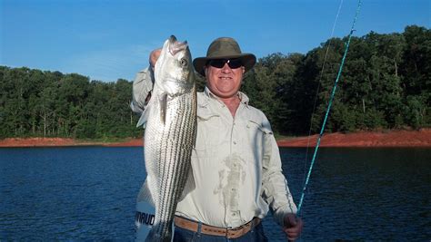 Pictures « Fishing Lake Hartwell | Fish Hartwell | Lake Hartwell ...