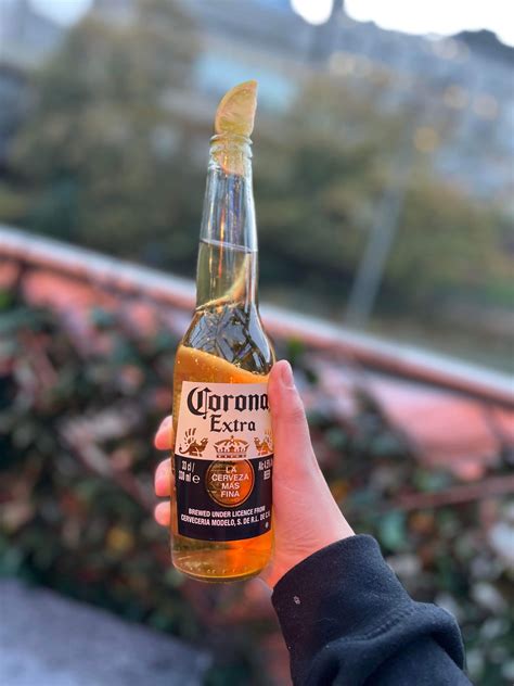 Corona Extra Beer Review - The Ultimate Entry Level Beer — OnlyCans