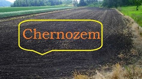 What is Chernozem?