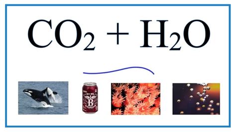 Balanced Equation For The Reaction Between Carbon Dioxide And Water - Tessshebaylo