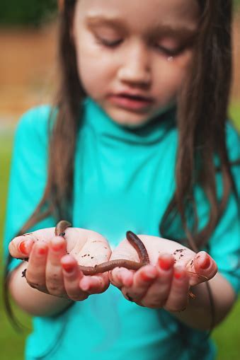 Girl Holding Earthworm Stock Photo - Download Image Now - Animal, Animal Themes, Animal Wildlife ...