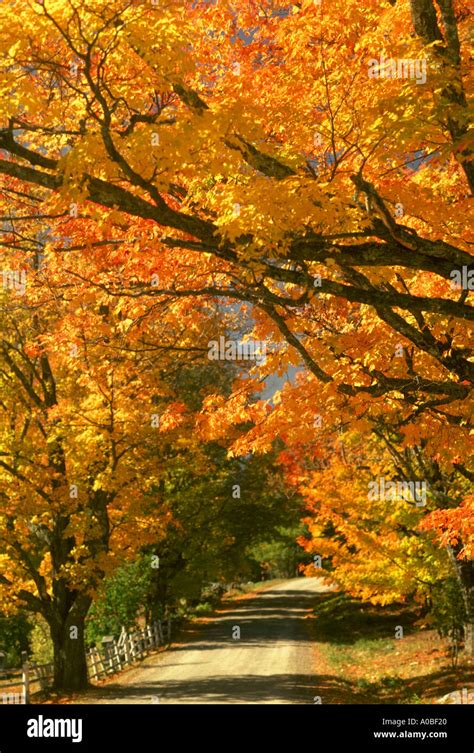 Fall foliage along country road in Vermont Stock Photo - Alamy