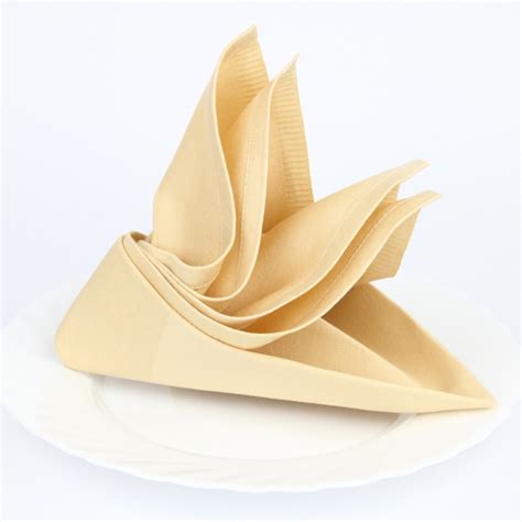 Spruce Up Your Dinner Table with Impressive Napkin Folding – Republic ...