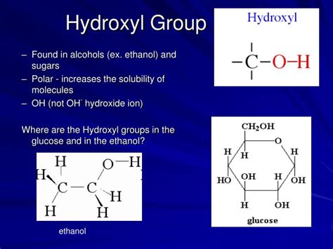 PPT - Biomolecules PowerPoint Presentation - ID:1800990