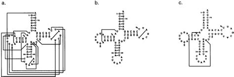 tRNA folding. (a) Raw output from imatch, containing both true and ...