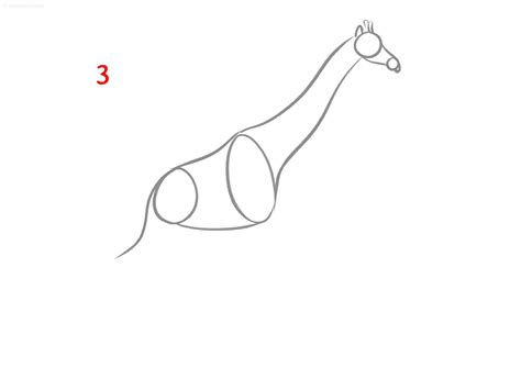 Giraffe Drawing Ideas How to draw a Giraffe