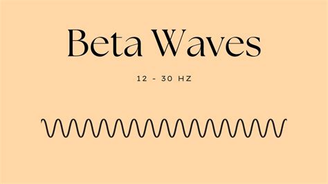 Understanding Brain Waves: Beta, Alpha, Theta, Delta + Gamma