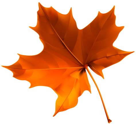 Outdoors clipart leaf, Picture #1795901 outdoors clipart leaf